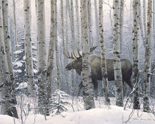 Load image into Gallery viewer, A Walk in the Woods