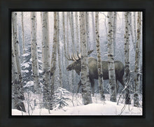 Load image into Gallery viewer, A Walk in the Woods
