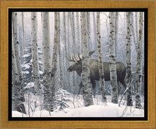 Load image into Gallery viewer, A Walk in the Woods