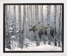 Load image into Gallery viewer, A Walk in the Woods