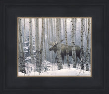 Load image into Gallery viewer, A Walk in the Woods