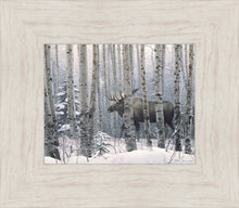 Load image into Gallery viewer, A Walk in the Woods