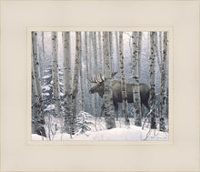 Load image into Gallery viewer, A Walk in the Woods
