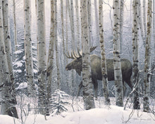 Load image into Gallery viewer, A Walk in the Woods