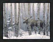 Load image into Gallery viewer, A Walk in the Woods