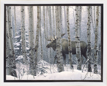 Load image into Gallery viewer, A Walk in the Woods
