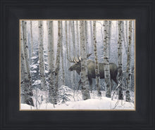 Load image into Gallery viewer, A Walk in the Woods