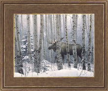 Load image into Gallery viewer, A Walk in the Woods