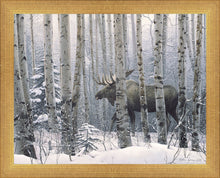 Load image into Gallery viewer, A Walk in the Woods