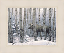 Load image into Gallery viewer, A Walk in the Woods