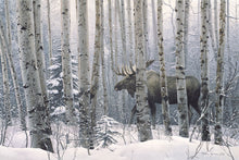 Load image into Gallery viewer, A Walk in the Woods