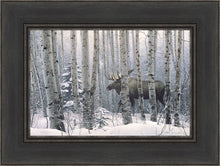 Load image into Gallery viewer, A Walk in the Woods