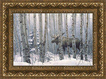Load image into Gallery viewer, A Walk in the Woods