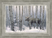 Load image into Gallery viewer, A Walk in the Woods