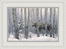 Load image into Gallery viewer, A Walk in the Woods
