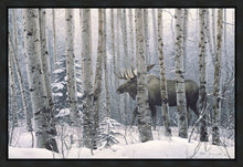 Load image into Gallery viewer, A Walk in the Woods