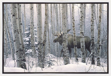 Load image into Gallery viewer, A Walk in the Woods