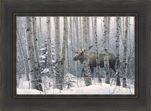 Load image into Gallery viewer, A Walk in the Woods