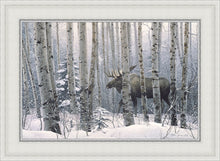 Load image into Gallery viewer, A Walk in the Woods