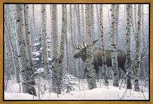 Load image into Gallery viewer, A Walk in the Woods