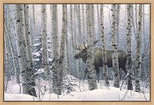 Load image into Gallery viewer, A Walk in the Woods