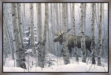 Load image into Gallery viewer, A Walk in the Woods