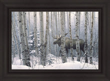 Load image into Gallery viewer, A Walk in the Woods