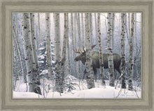 Load image into Gallery viewer, A Walk in the Woods