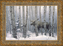 Load image into Gallery viewer, A Walk in the Woods