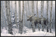 Load image into Gallery viewer, A Walk in the Woods