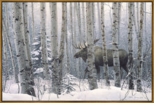 Load image into Gallery viewer, A Walk in the Woods
