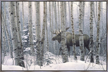Load image into Gallery viewer, A Walk in the Woods