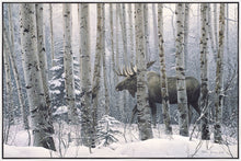 Load image into Gallery viewer, A Walk in the Woods