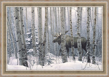 Load image into Gallery viewer, A Walk in the Woods