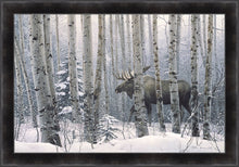 Load image into Gallery viewer, A Walk in the Woods