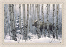Load image into Gallery viewer, A Walk in the Woods
