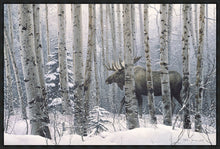 Load image into Gallery viewer, A Walk in the Woods