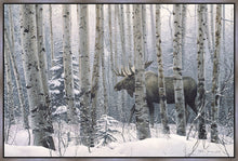 Load image into Gallery viewer, A Walk in the Woods