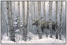 Load image into Gallery viewer, A Walk in the Woods