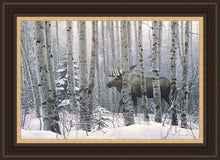 Load image into Gallery viewer, A Walk in the Woods