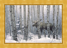 Load image into Gallery viewer, A Walk in the Woods