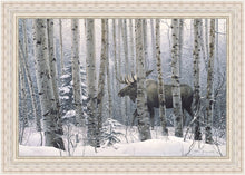 Load image into Gallery viewer, A Walk in the Woods