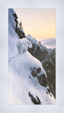 Load image into Gallery viewer, High Trail at Sunset