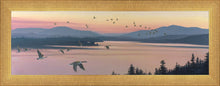 Load image into Gallery viewer, Sounds of Sunset