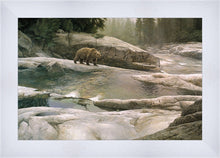 Load image into Gallery viewer, Uzumati - Great Bear of Yosemite