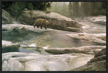Load image into Gallery viewer, Uzumati - Great Bear of Yosemite