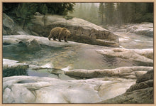 Load image into Gallery viewer, Uzumati - Great Bear of Yosemite