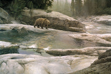 Load image into Gallery viewer, Uzumati - Great Bear of Yosemite