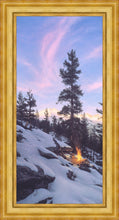 Load image into Gallery viewer, Firedance