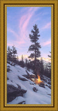 Load image into Gallery viewer, Firedance